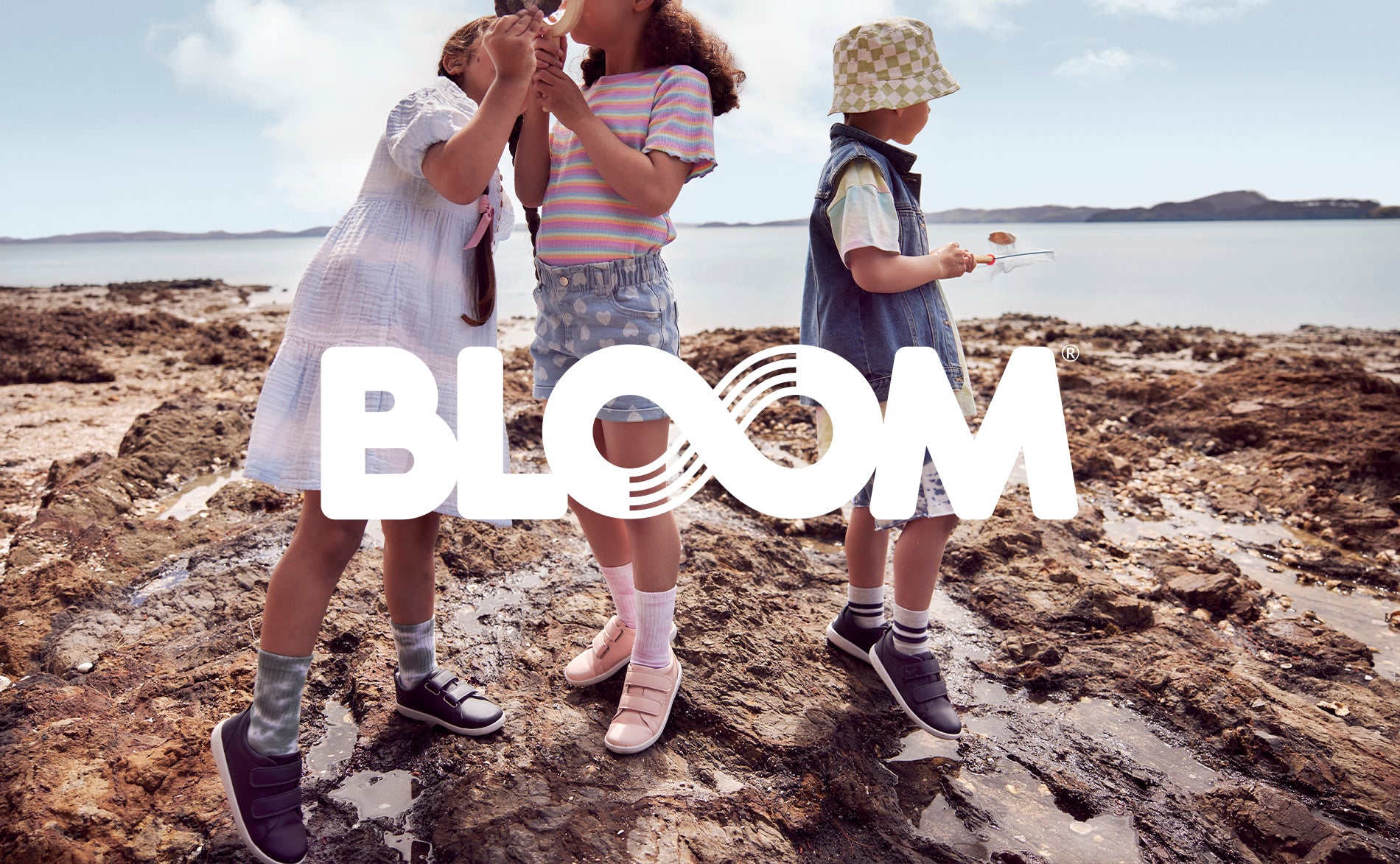 Bloom