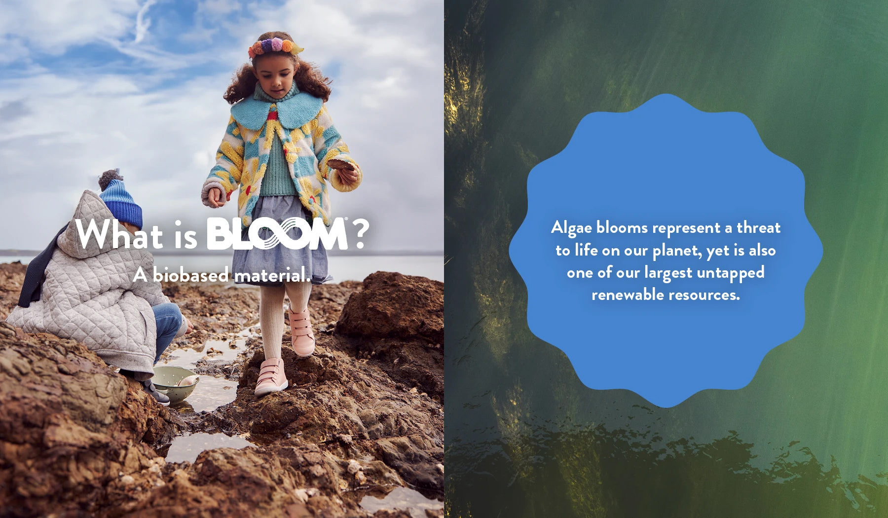 What is Bloom? A biobased material. Algaue blooms represent a threat to life on our planet, yet is also one of our largest untapped renewable resources.