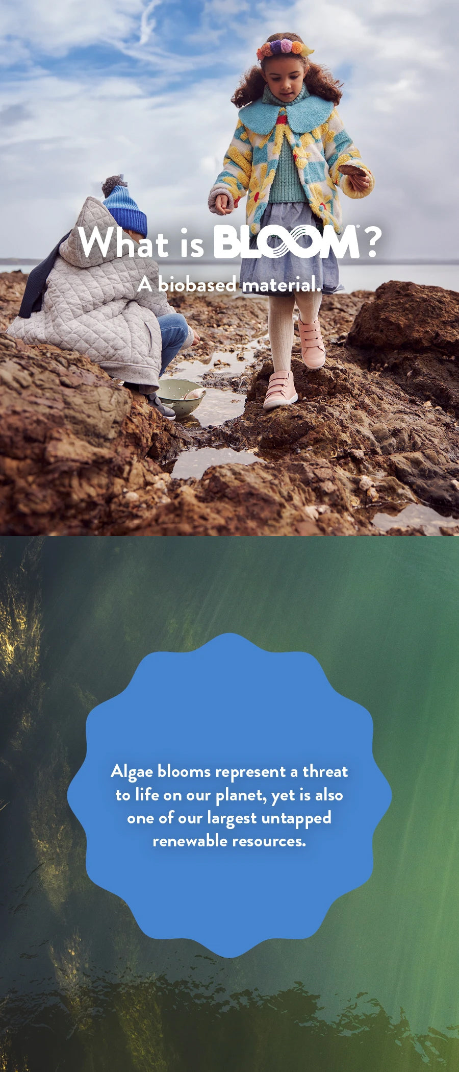 What is Bloom? A biobased material. Algae blooms represent a threat to life on our planet, yet is also one of our largest untapped renewable resources.