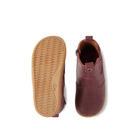 Jodhpur - I-Walk - Fig