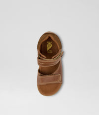 Driftwood - I-Walk - Caramel