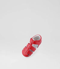 Tidal  - Step Up - Red