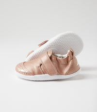 Go - Xplorer - Rose Gold