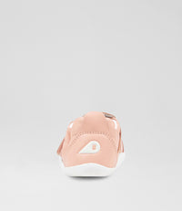 Go - Xplorer - Seashell