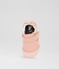 Go - Xplorer - Seashell