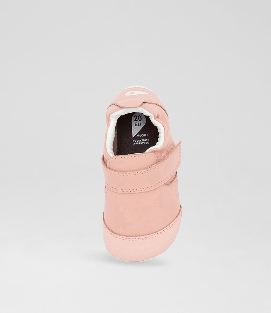 Go - Xplorer - Seashell