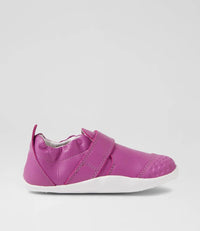 Go - Xplorer - Orchid