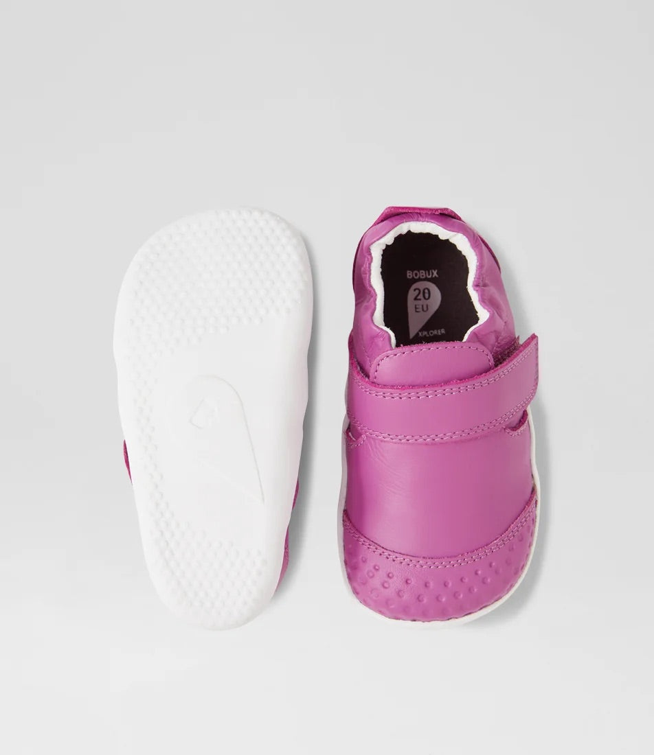 Go - Xplorer - Orchid