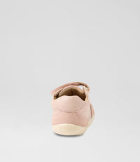 Champ - Step Up - Cameo Rose
