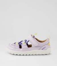 Rocky-BQ - I-Walk - Thistle