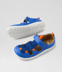 Rocky-BQ - Kid+ - Dazzling Blue