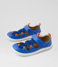 Rocky-BQ - Kid+ - Dazzling Blue