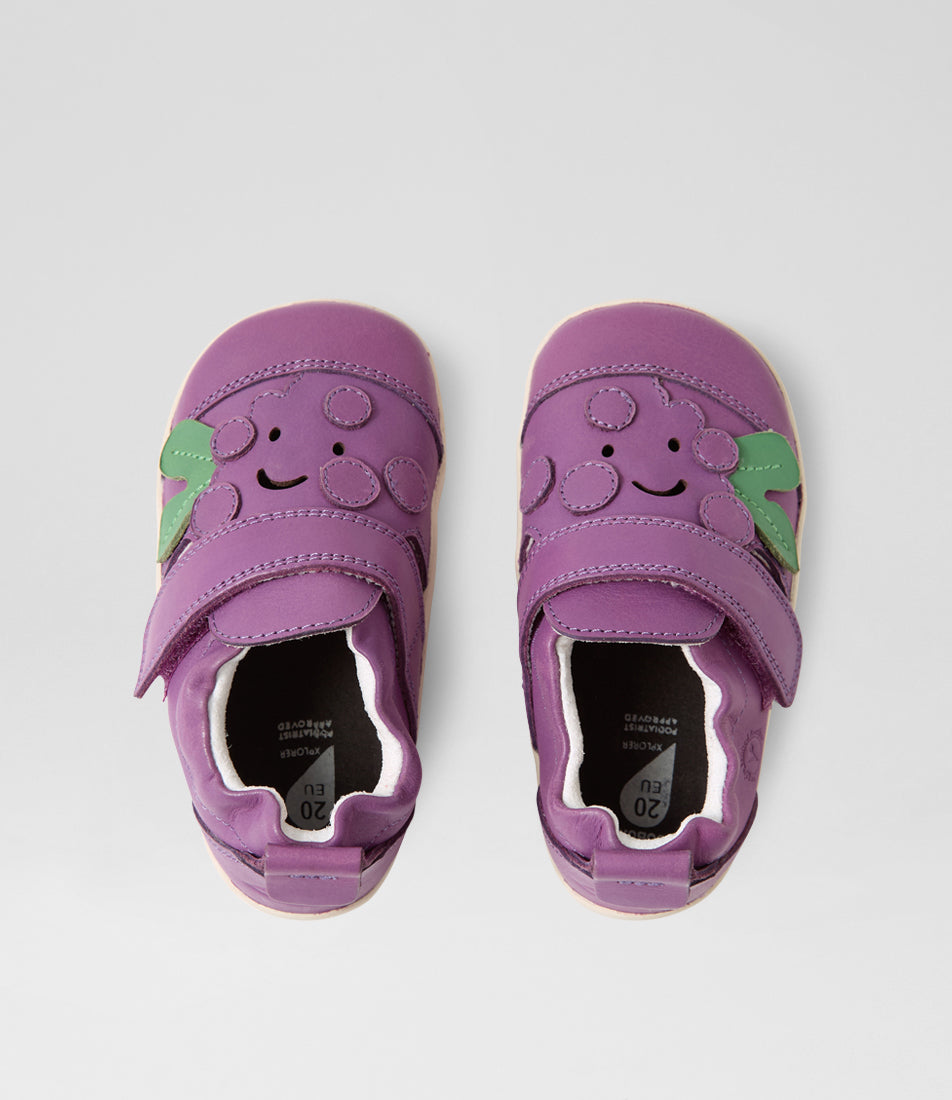 Giddy Grape - Xplorer - Chinese Violet