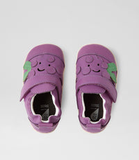 Giddy Grape - Xplorer - Chinese Violet