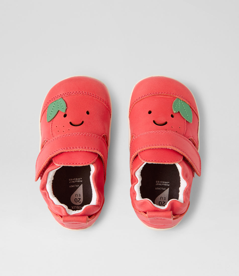 Little Sprouts - Tommy Tomato - Xplorer - Grenadine