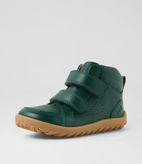 Ember - I-Walk - Rainforest