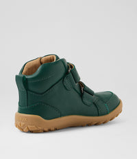 Ember - I-Walk - Rainforest