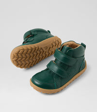 Ember - I-Walk - Rainforest