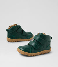 Ember - I-Walk - Rainforest