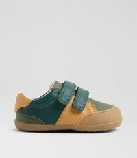 Linden - Step Up - Rainforest Multi