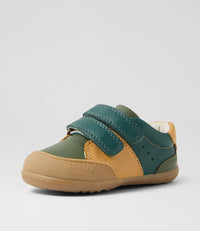 Linden - Step Up - Rainforest Multi