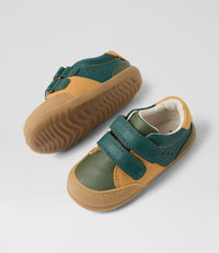 Linden - Step Up - Rainforest Multi
