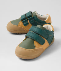 Linden - Step Up - Rainforest Multi