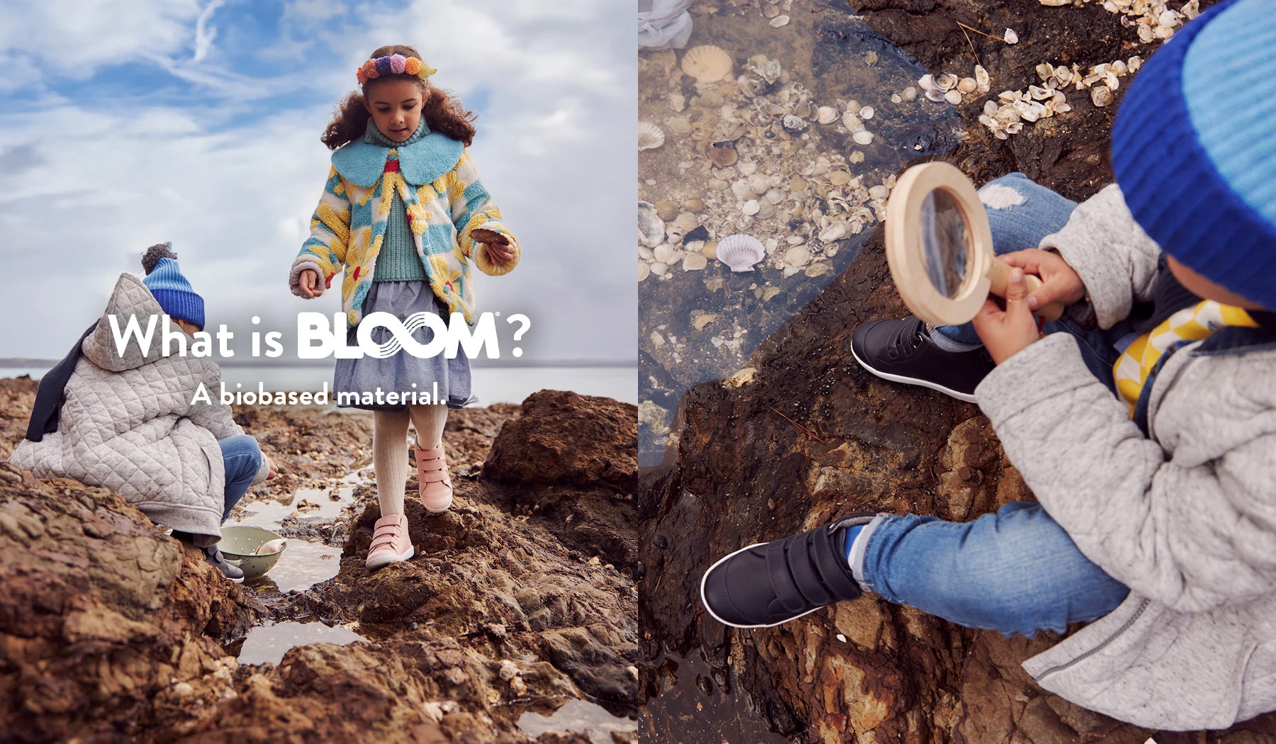 What is Bloom? A biobased material. 
